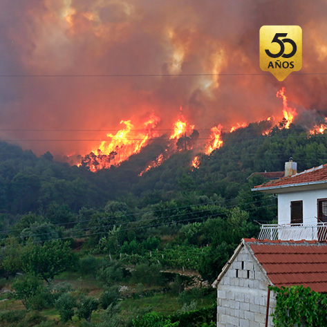 Afectados por los incendios